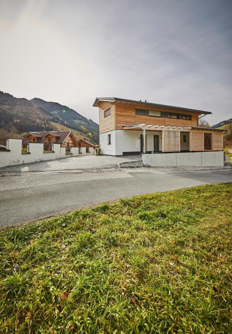 Chalet Pantera Villa Saalbach-Hinterglemm Dış mekan fotoğraf